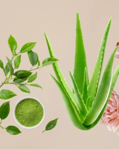 Mascarilla de aloe vera